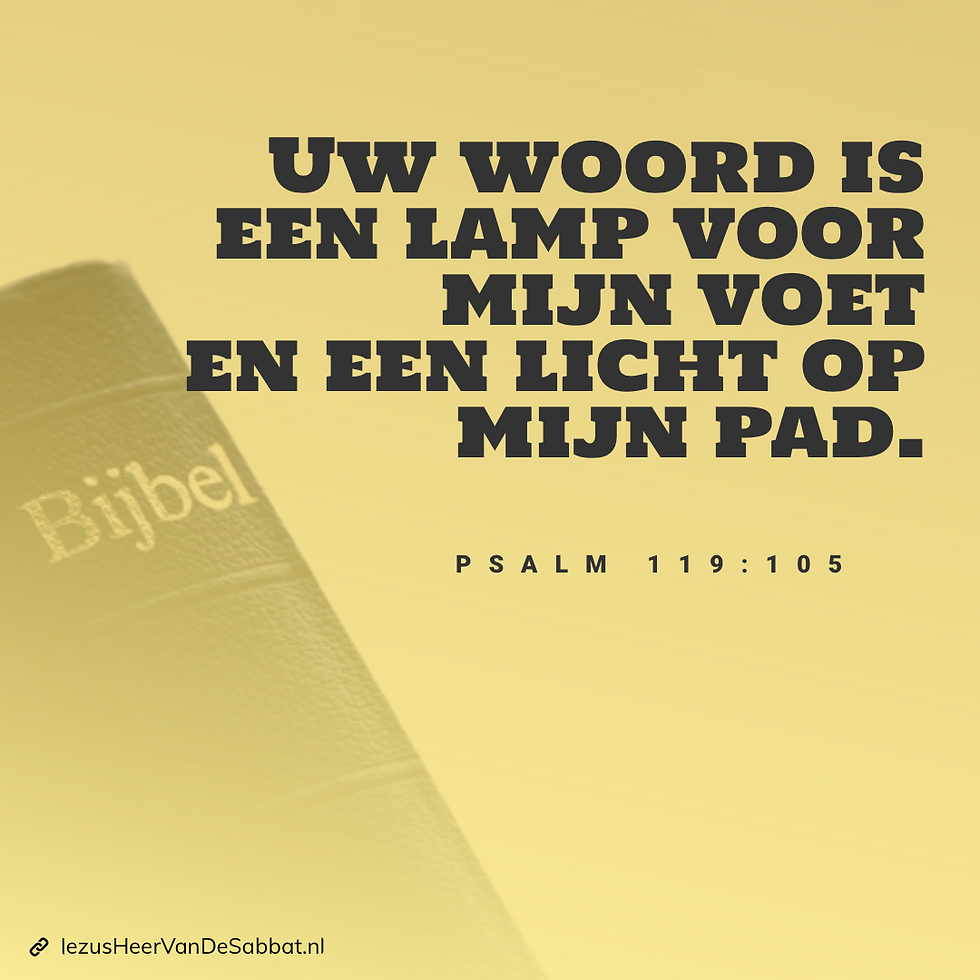 28 ZDA geloofspunten voor kinderen 1 de Bijbel het Woord van God