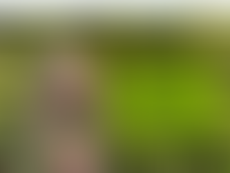 Healthy Body, Healthy Business