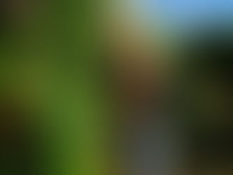 From Courtrooms to Bardolino Cantina