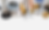 Screenshot 2025-02-14 at 10.29.43.png