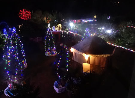 Christmas evening.JPG