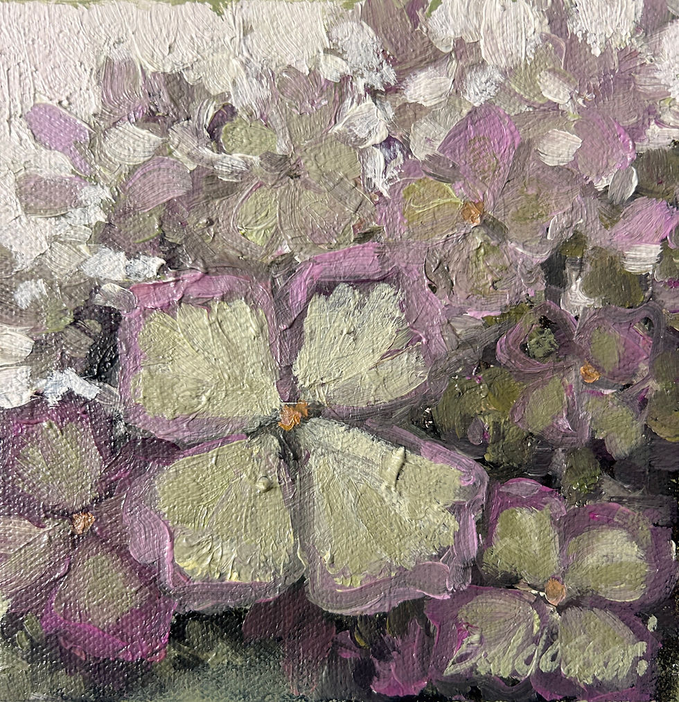 Autumn Hydrangea