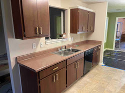 COUNTER EARTH - VAMPIRE BAT FAMILY HOME