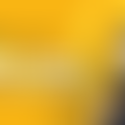 Setembro Amarelo: uma história de palestras