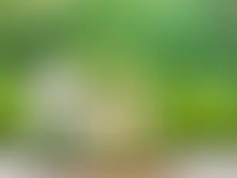Direttiva Green: tutto quello che c'è da sapere