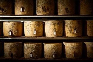 CheeseShelves (1).jpg