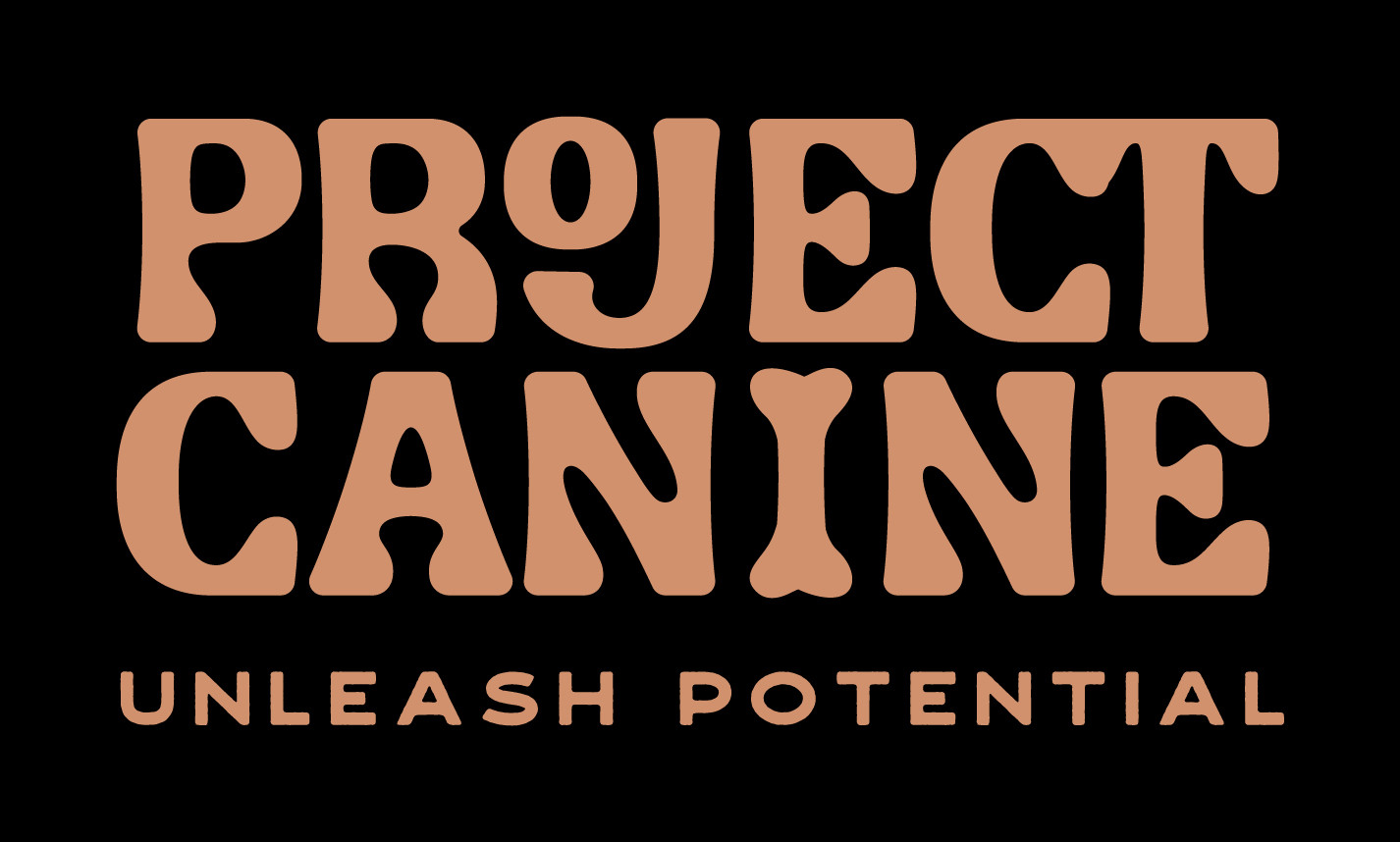 Private Consultation Project Canine Dog Training private-consultation-project-canine-dog-training