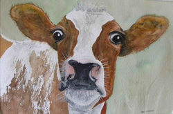 You Cannot Be Serious!