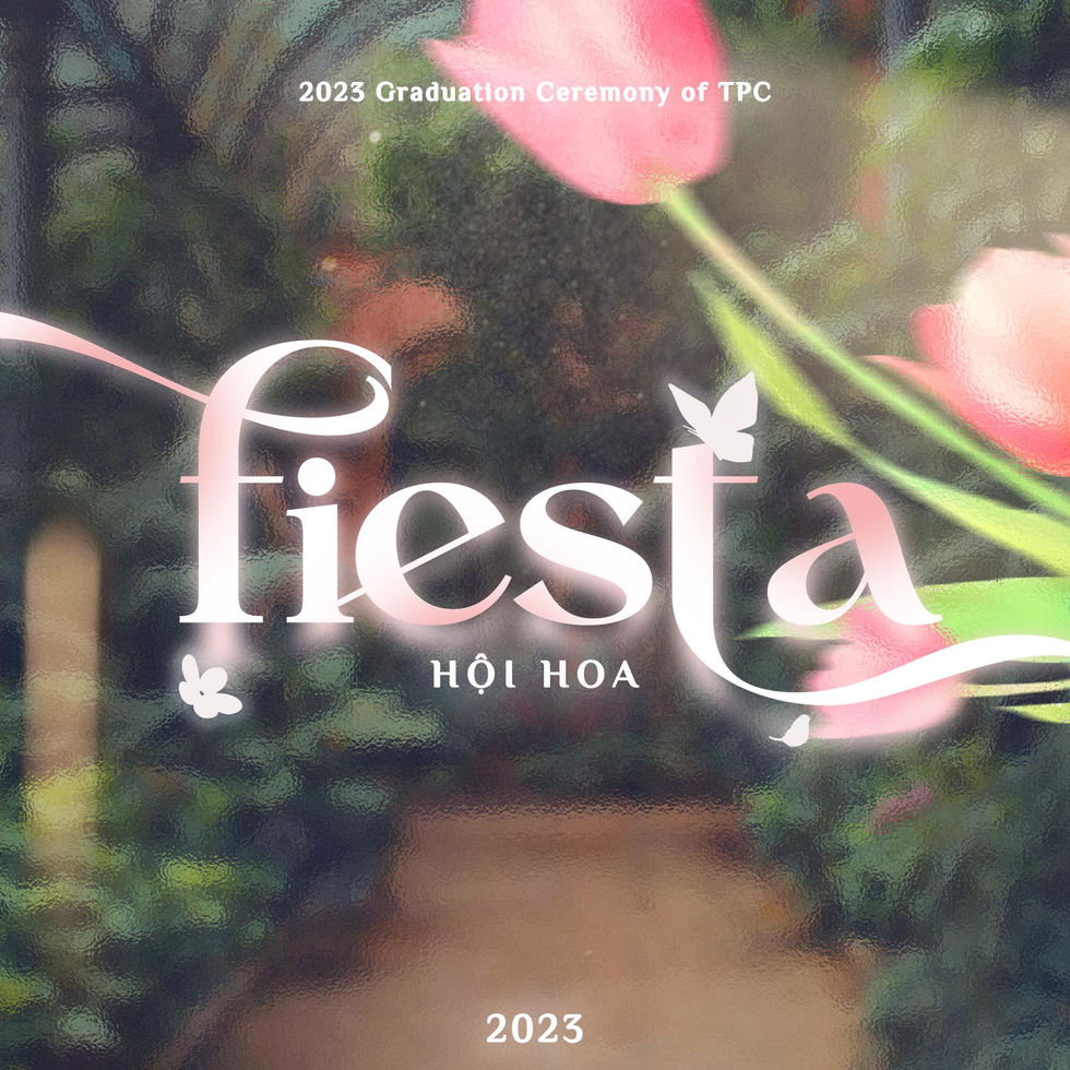 Fiesta(2)