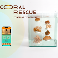 Coral Rescue has been selected as one of  WIRED Creative Hack Award 2023 Finalists