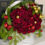 Miniatura: Christmas colorful flowers