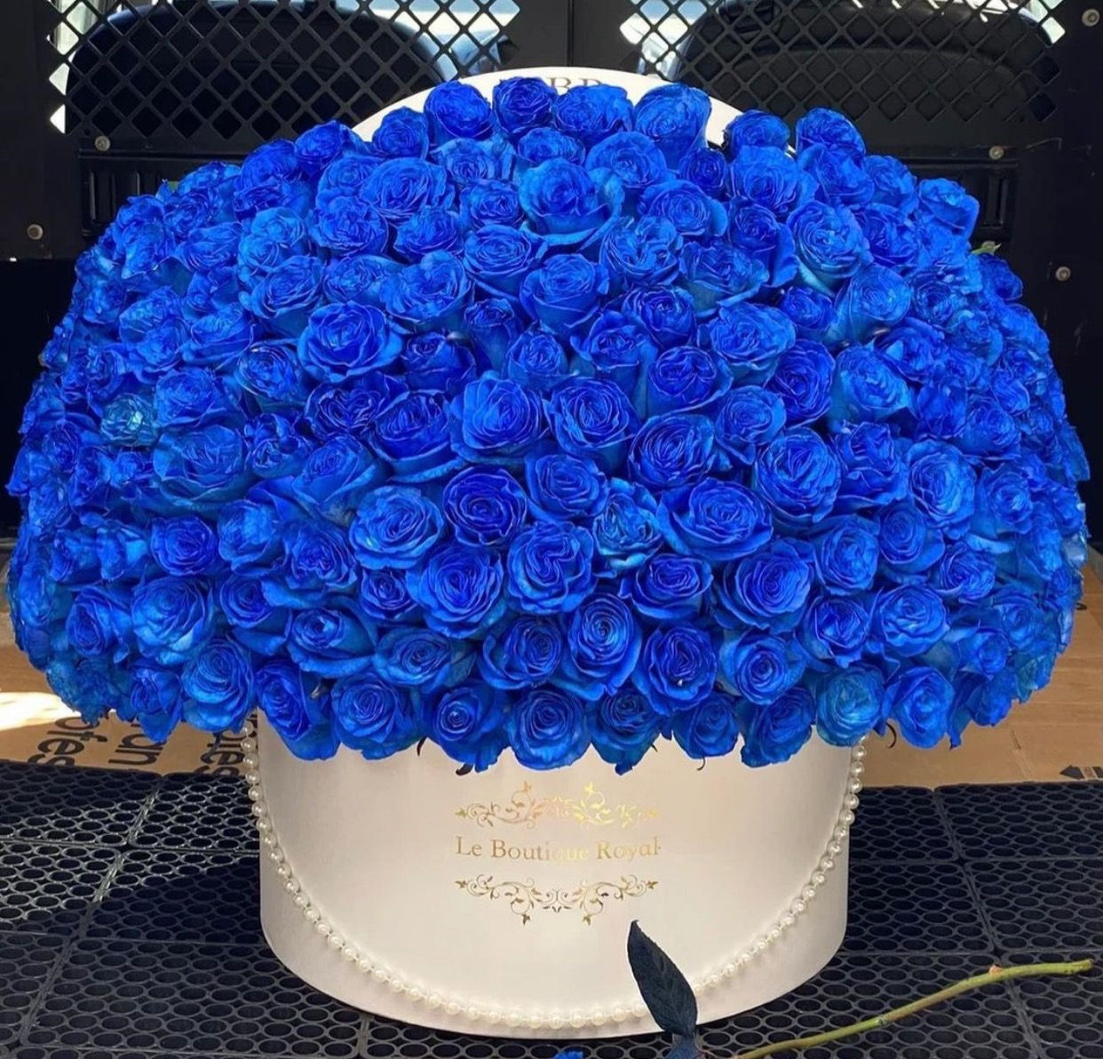 100 blue roses