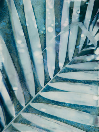 Handmade cyanotype print of a palm leaf, created using an alternative photography process.