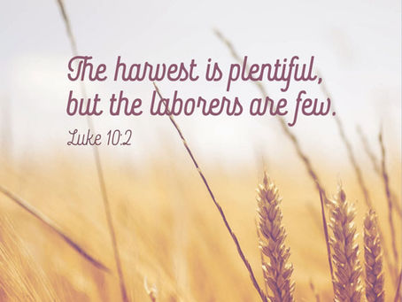 THE HARVEST IS READY BUT ARE YOU?