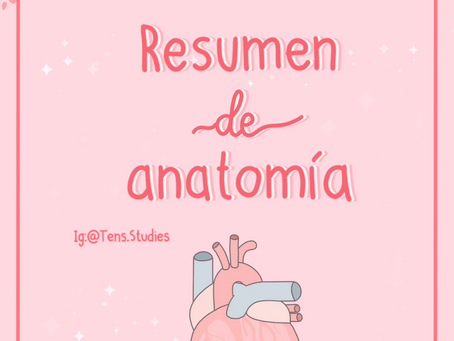 Resumen de anatomía 
