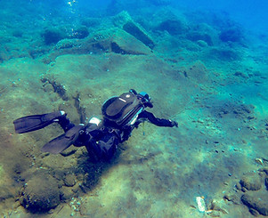 E74FF53D-C8FA-4438-89CA-6FABE8B68939_edited.jpg