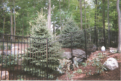 Fencing1
