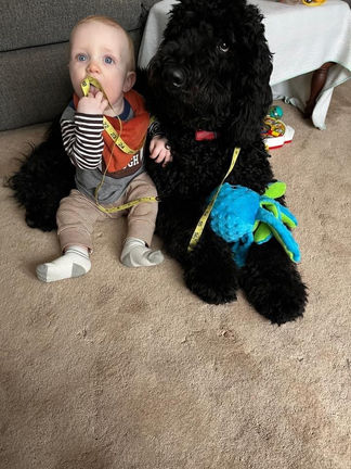 H and F Theo 6 mos.JPG