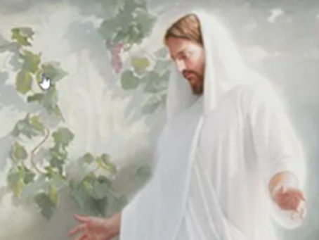 April 01, 2026 - Stake Newsletter