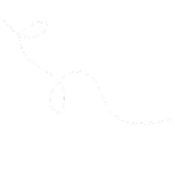 png.png