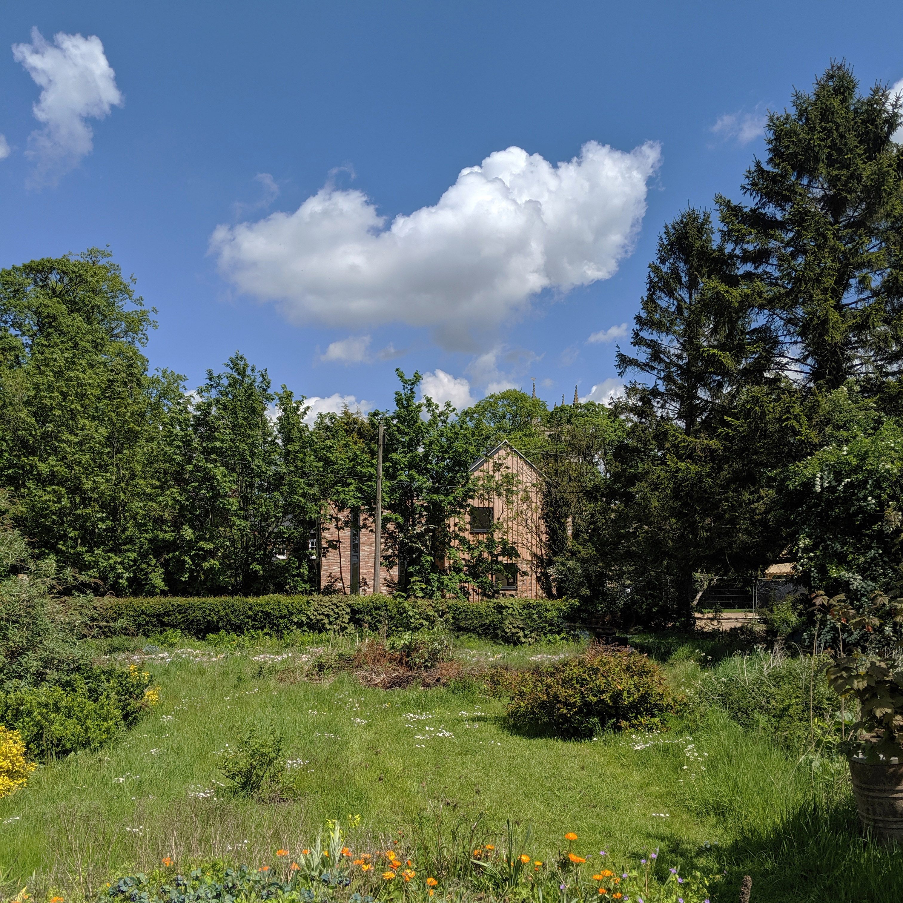 Campion Design — Garden Views.jpg