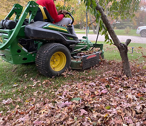 Leaf Mulching, Fall