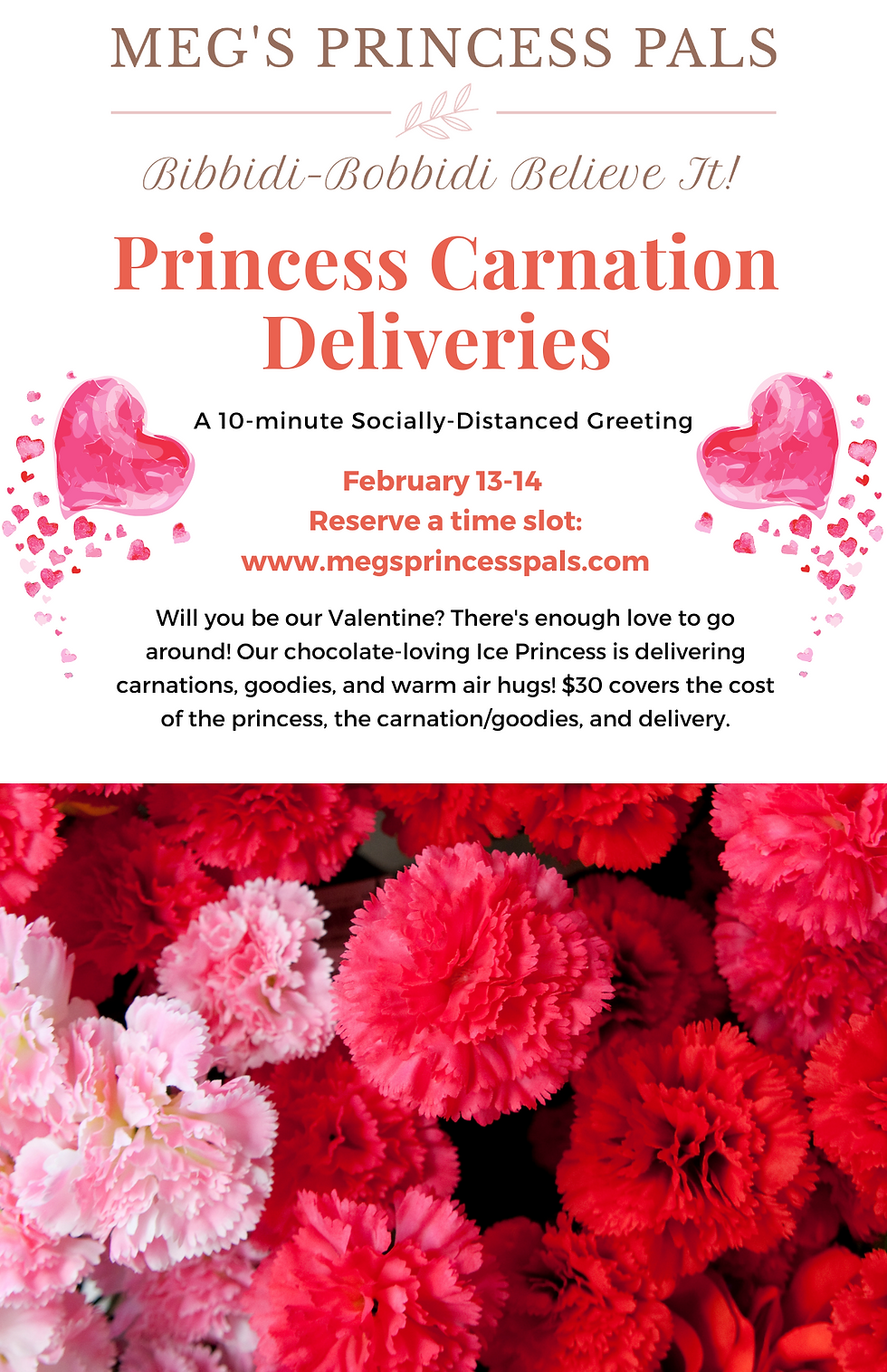 Princess Carnation Deliveries