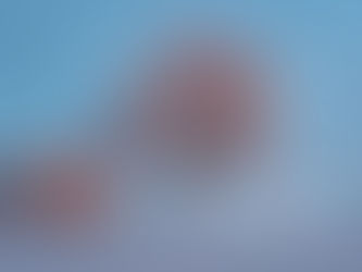 The Power of Silence in Therapy: What Your Therapist Isn’t Saying (And Why That Matters)