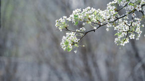 Embracing Internal Change: Navigating Seasonal Transitions for Personal Growth