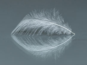 The Art of Holding More Than One Truth: Practicing Dialectics in Everyday Life