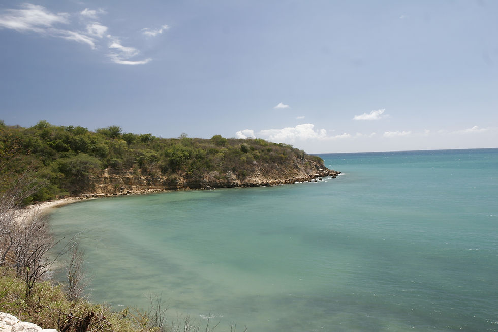 PR_20_Guanica_route 333 (4)