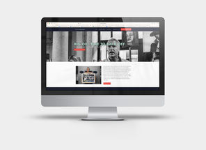 Steven Danziger Website Design