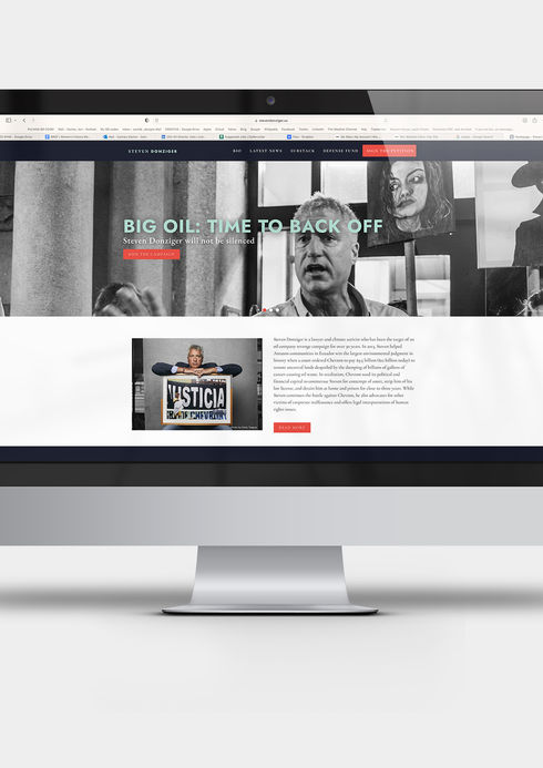 Steven Donziger Branding and Website