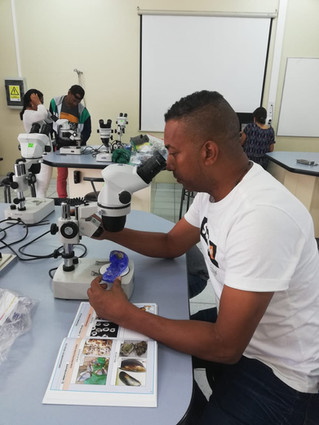 Bahía Solano aportó su granito de arena en investigación sobre basura marina en L.A.