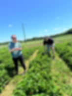 Dany and Brittney in the Strawberry Zone