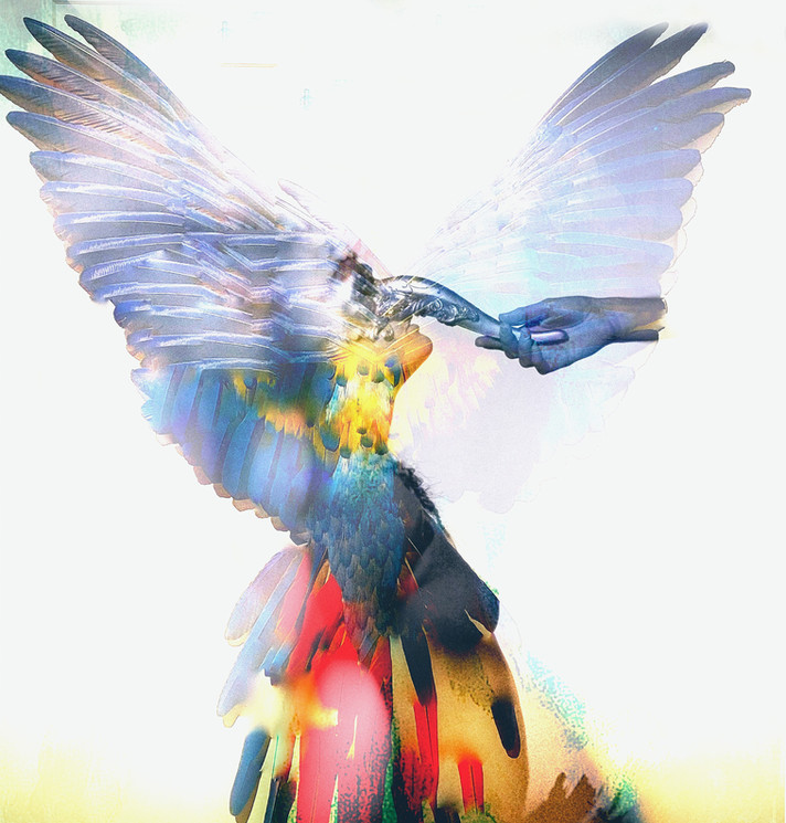 Untitled No.33