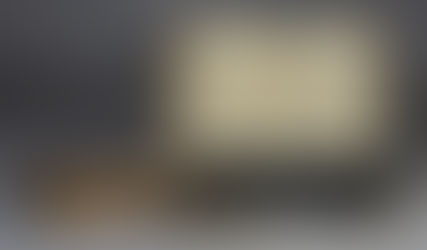 Bunch Auctions Annual Spring Sale Nets Over $400,000