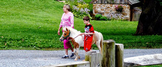 A Bunch of Community Outreach: Our Spring Brook Farm Fundraiser