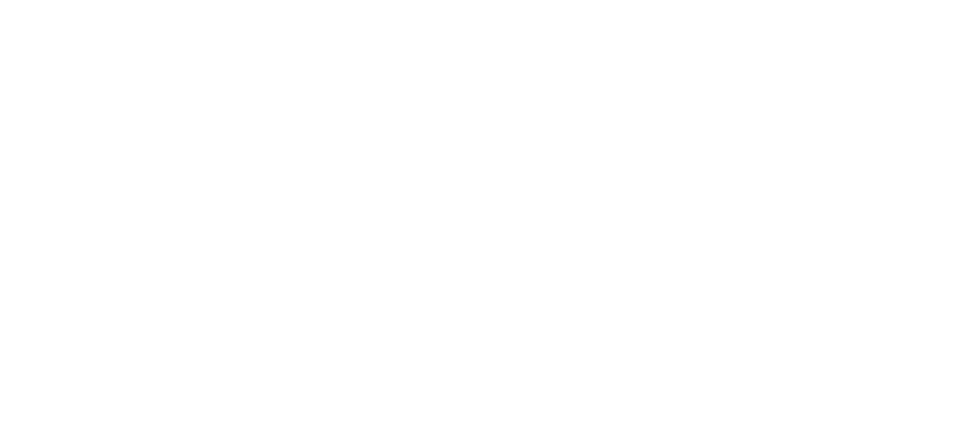 Lavorgna Strategy Studio logo