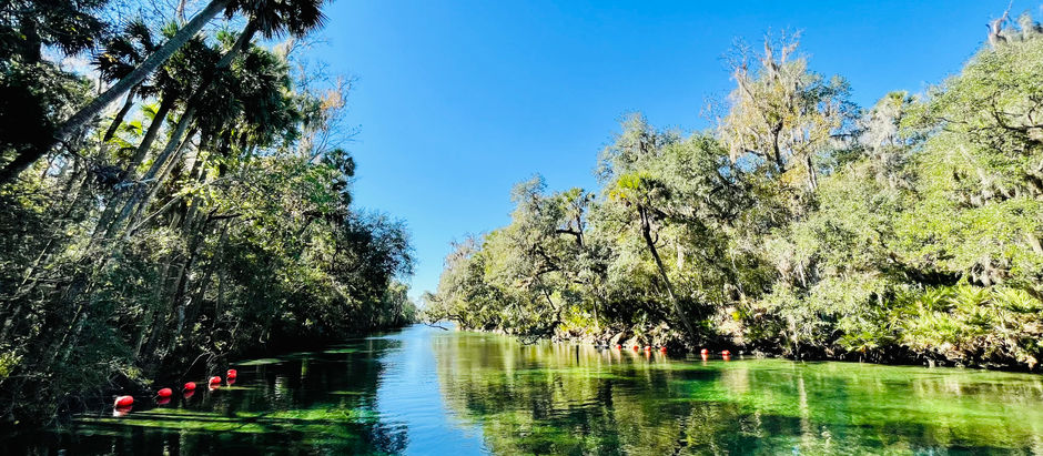 Blue Spring State Park