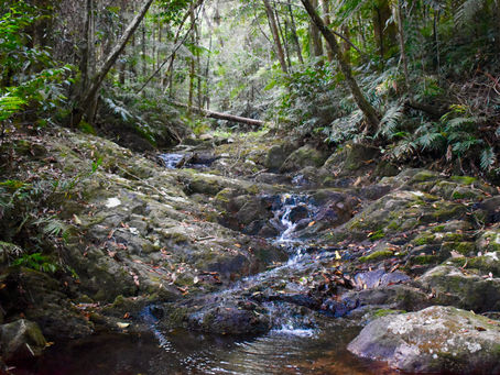 North QLD - DCK Hut - Community 