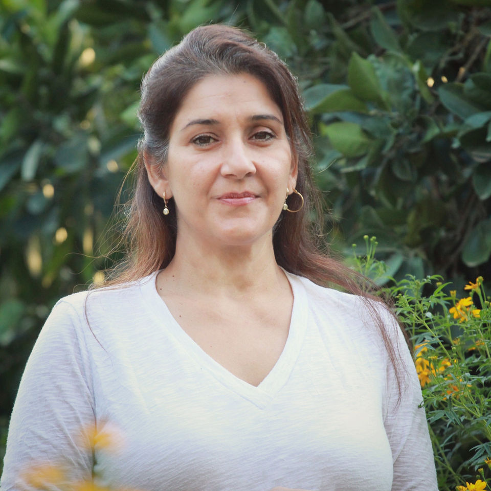 לירון פרגון דוידוב