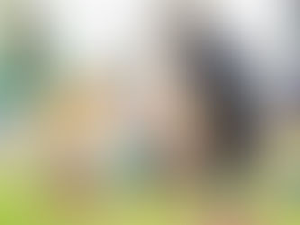 今日のみどりトピックス