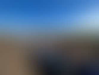 今日のみどりトピックス