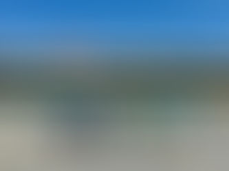 今日のみどりトピックス