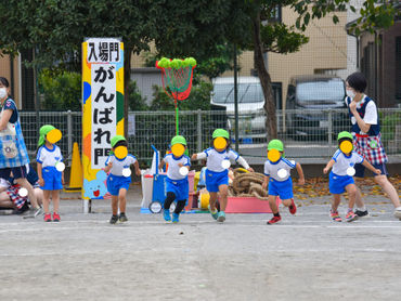 今日のみどりトピックス