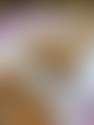 Vegan μπάρες βρώμης με φυστικοβούτυρο, χωρίς ζάχαρη