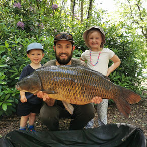 Family Picnic (And A Big Common)