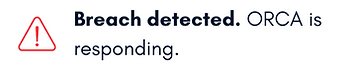 Breach Workflow.png