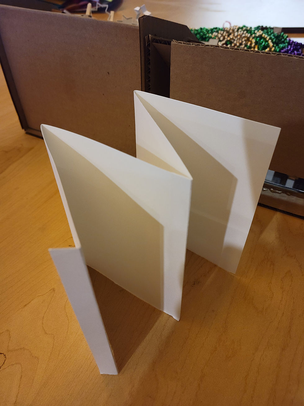 Mentor Review with Ruhan and Tina